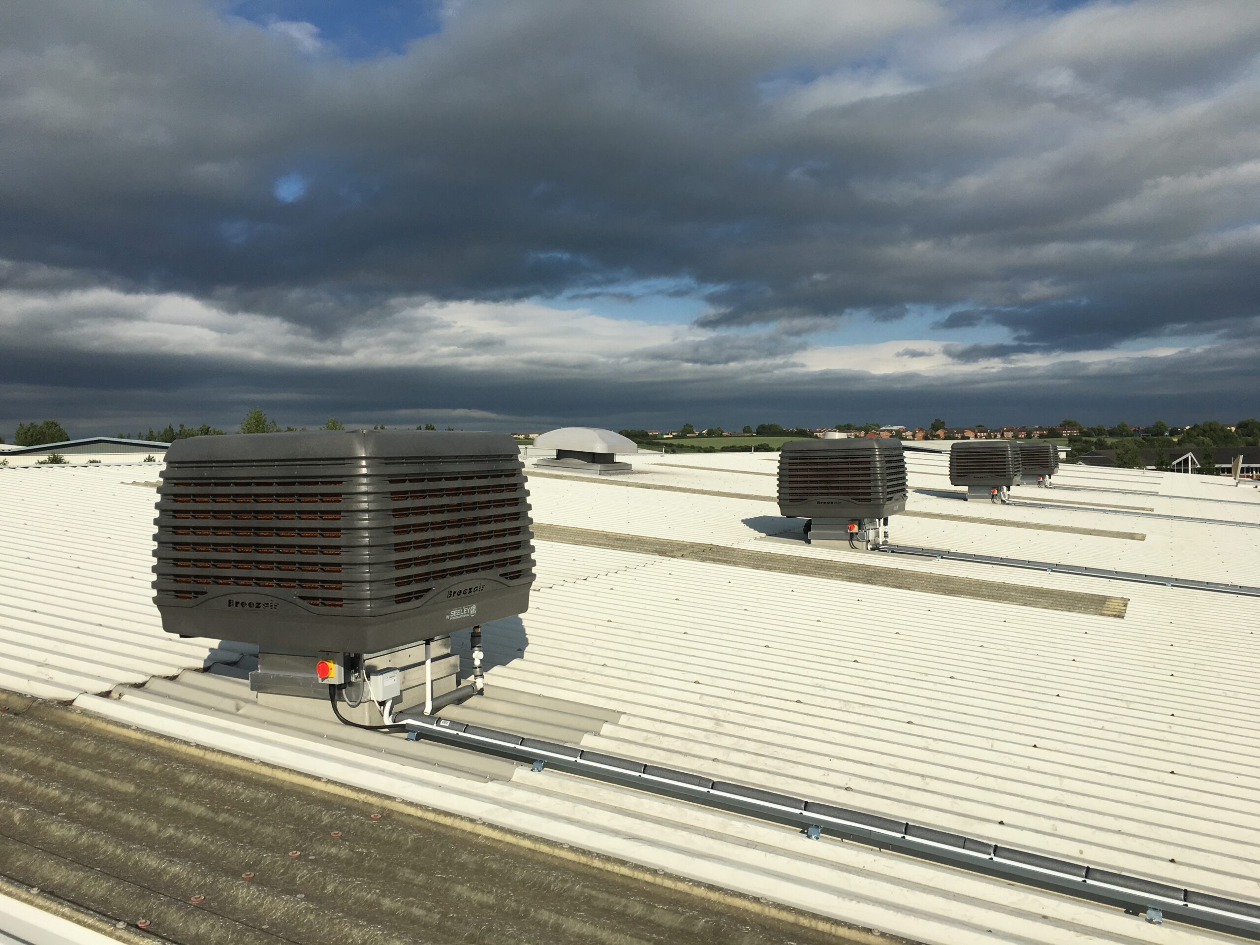 Bluetree printing industry, UK (4)